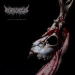 Mental Cruelty – Echoes of a Forlorn Land